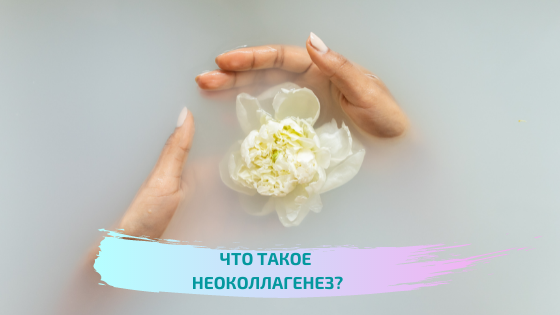 Что такое неоколлагенез?
